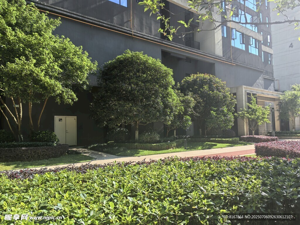 城市绿植环绕的建筑景观