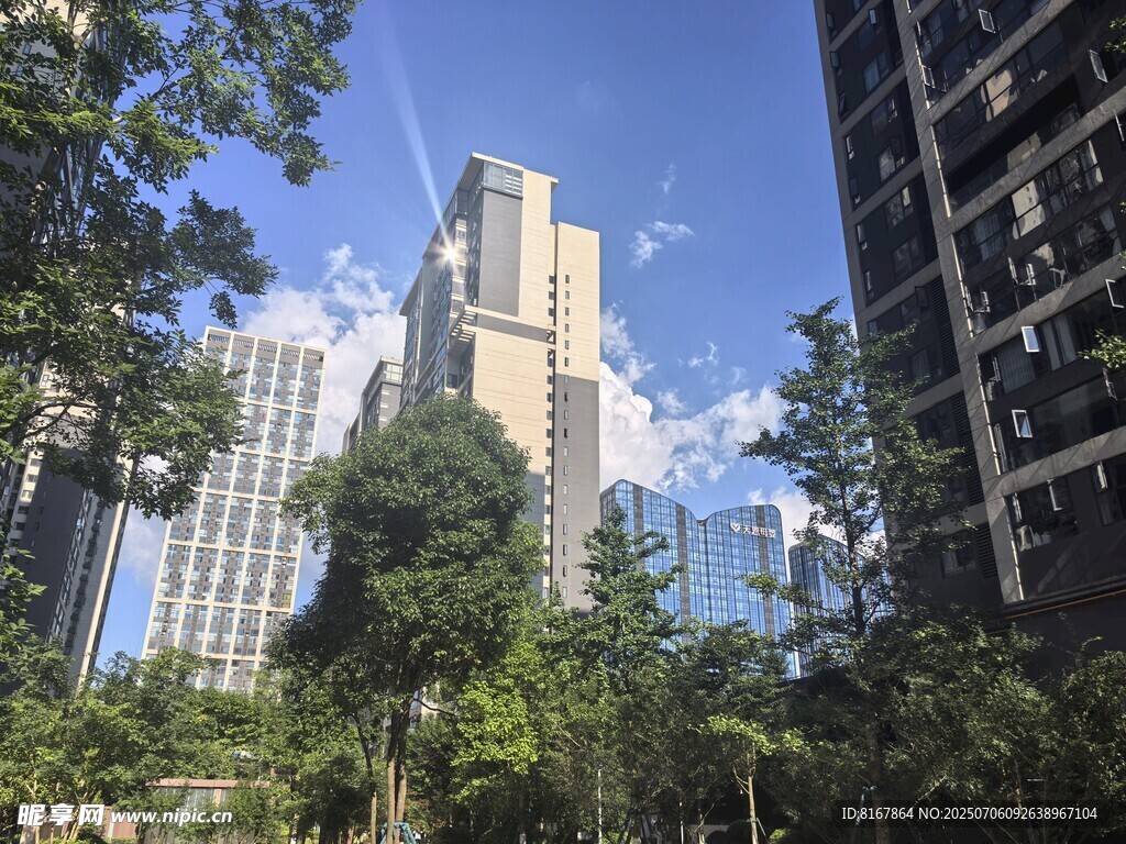 城市中林立的高楼与绿树