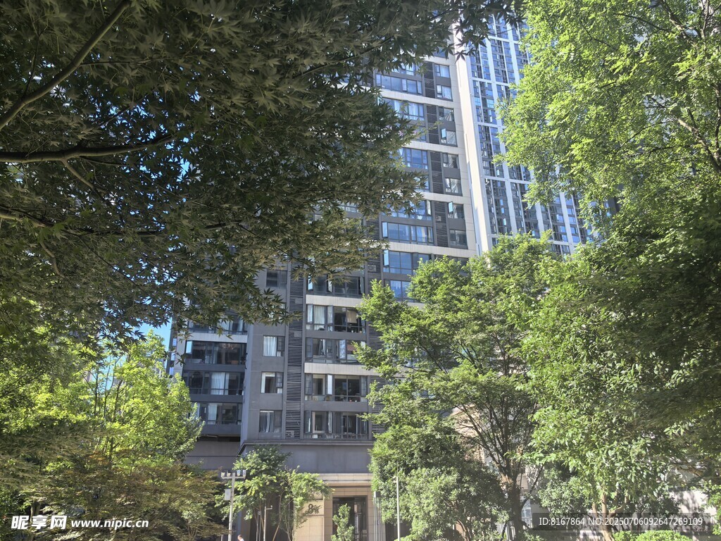 绿树环绕中的现代建筑
