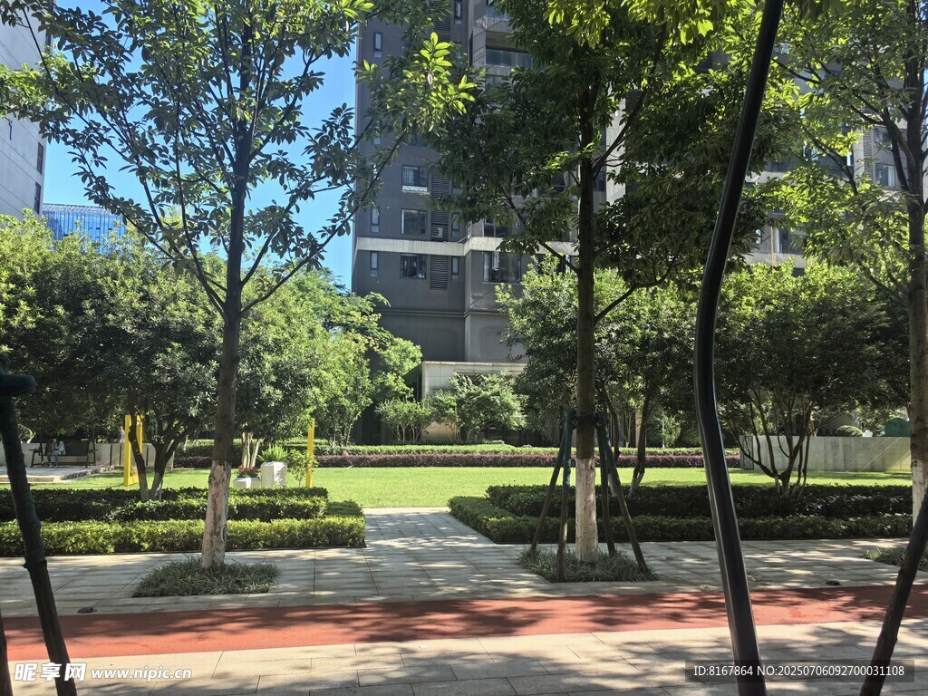 城市中的静谧绿化景观
