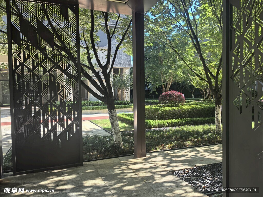 阳光洒落的庭院绿植景观