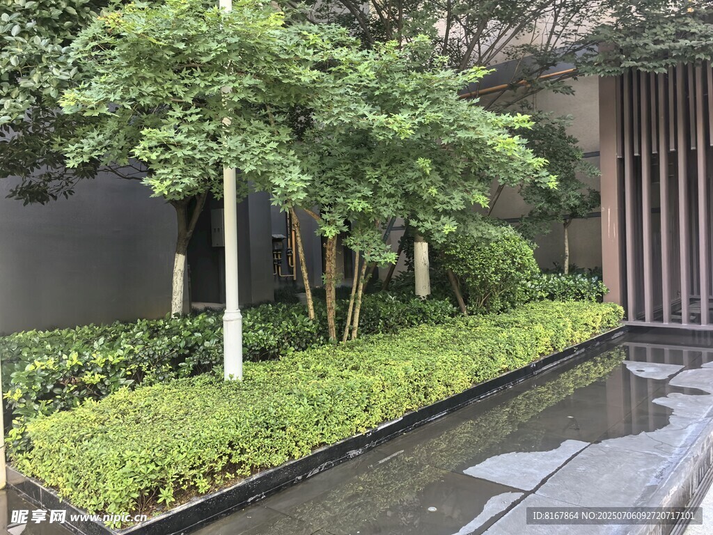 庭院绿植景观一角