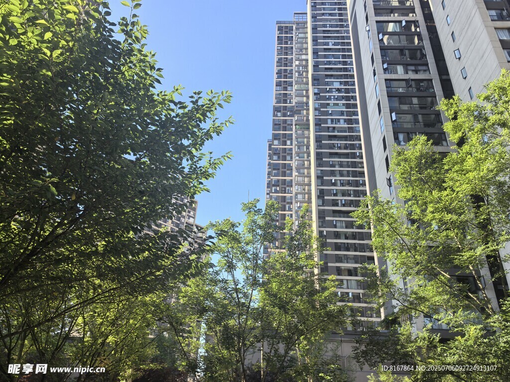 绿树环绕的高层住宅