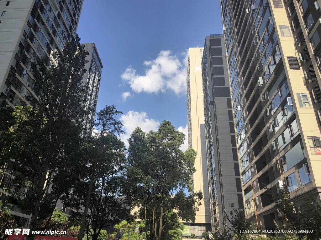 城市高楼间的绿树蓝天