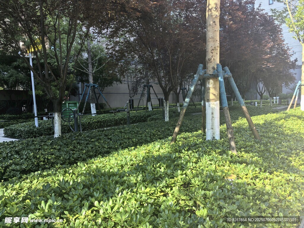 绿树成荫的公园景观