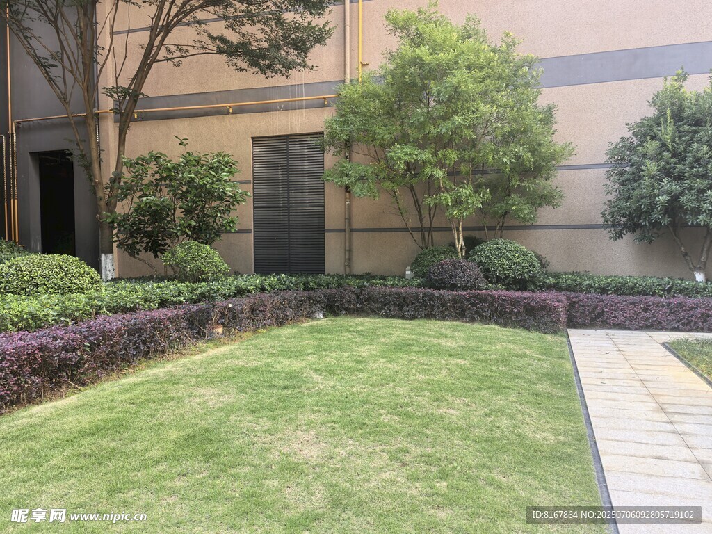 庭院草坪绿植景观一角