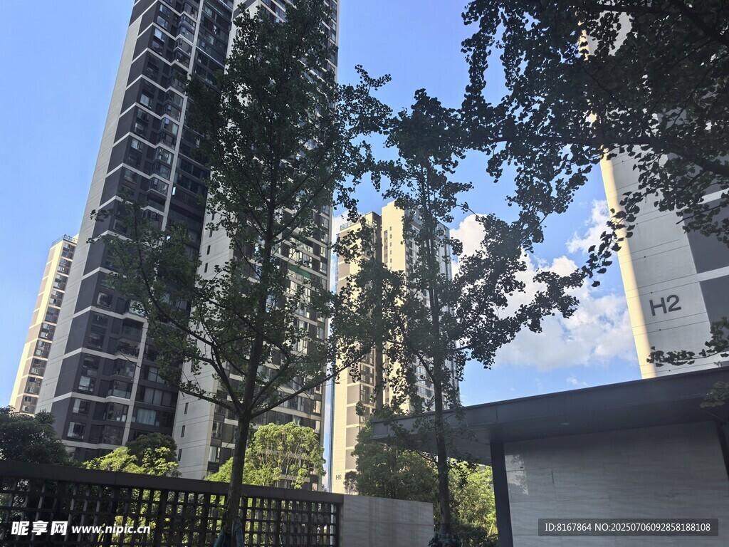 高层住宅旁的绿树景观