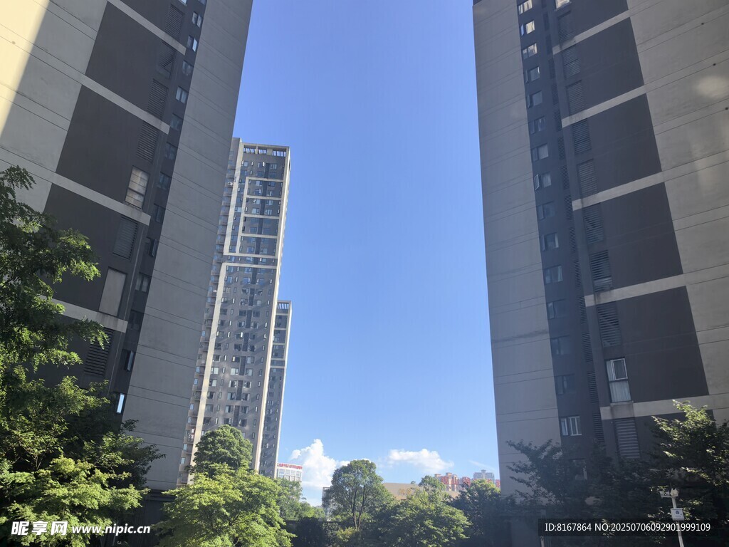 城市高楼间的蓝天绿树
