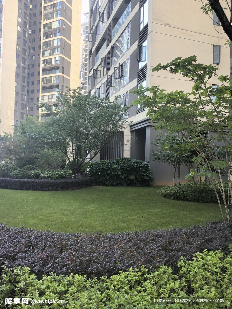 小区内的绿植景观