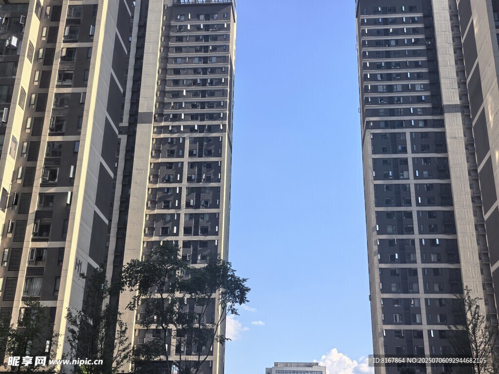 高楼林立的城市景象