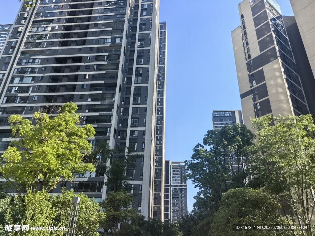 城市中的高层住宅与绿树