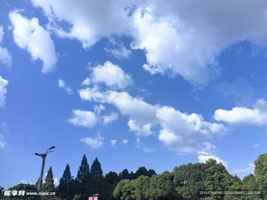蓝天白云下的绿树与风车