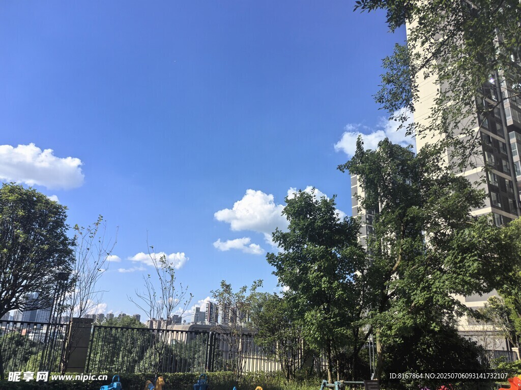 城市蓝天绿树景观