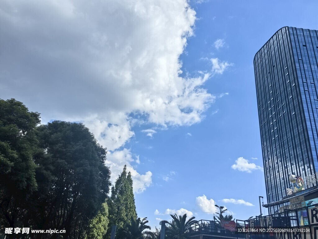 城市中高楼与绿树相映