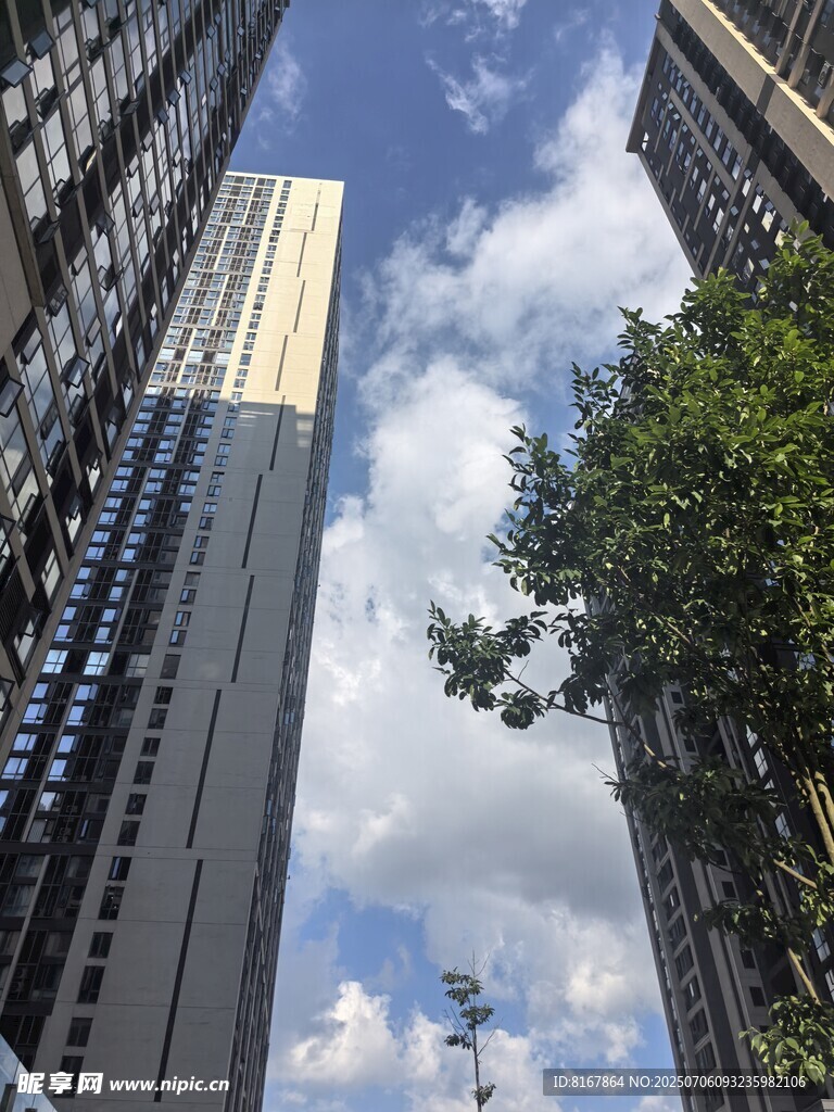 城市高楼与绿树蓝天白云