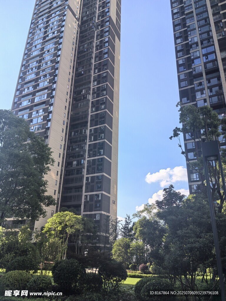 高层住宅旁的绿植景观