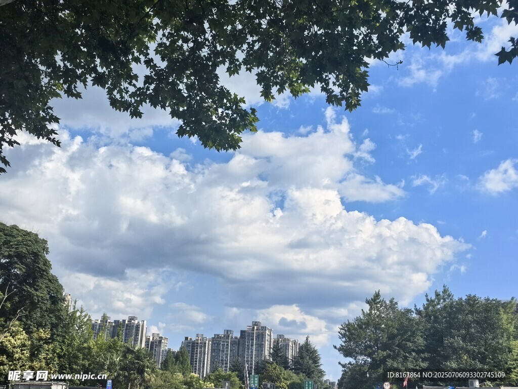 蓝天白云下的城市绿树景观