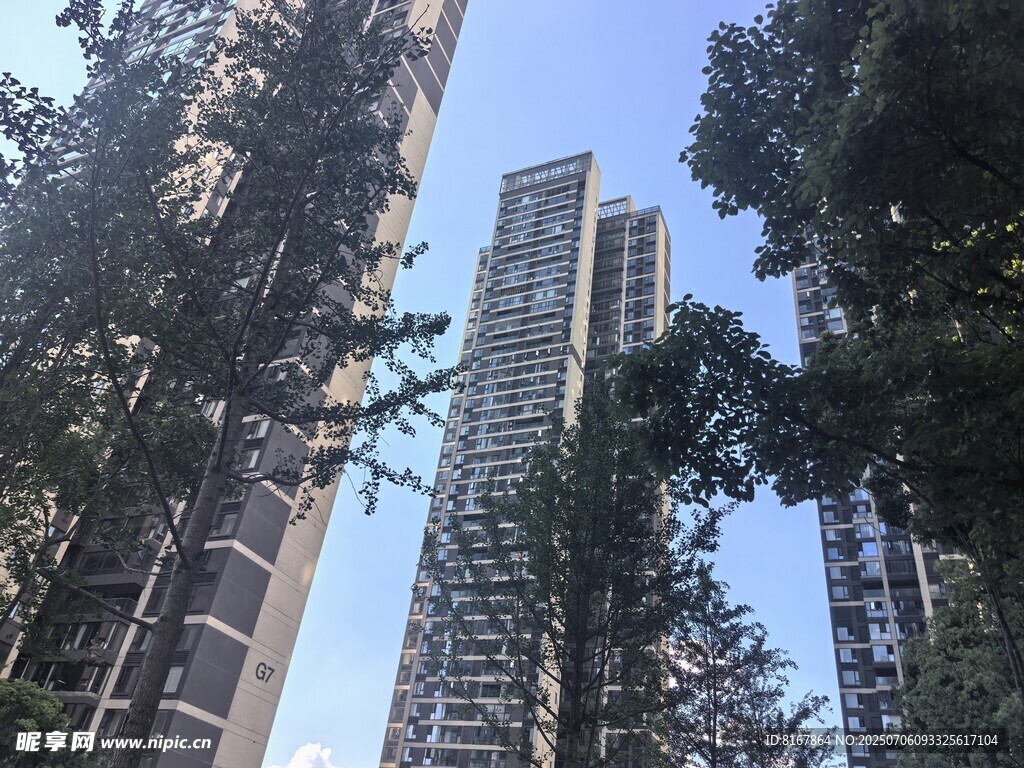 高楼林立间的绿树景观