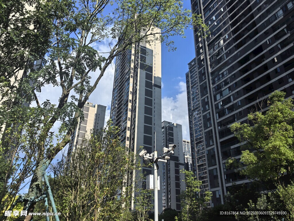 城市中林立高楼与绿树