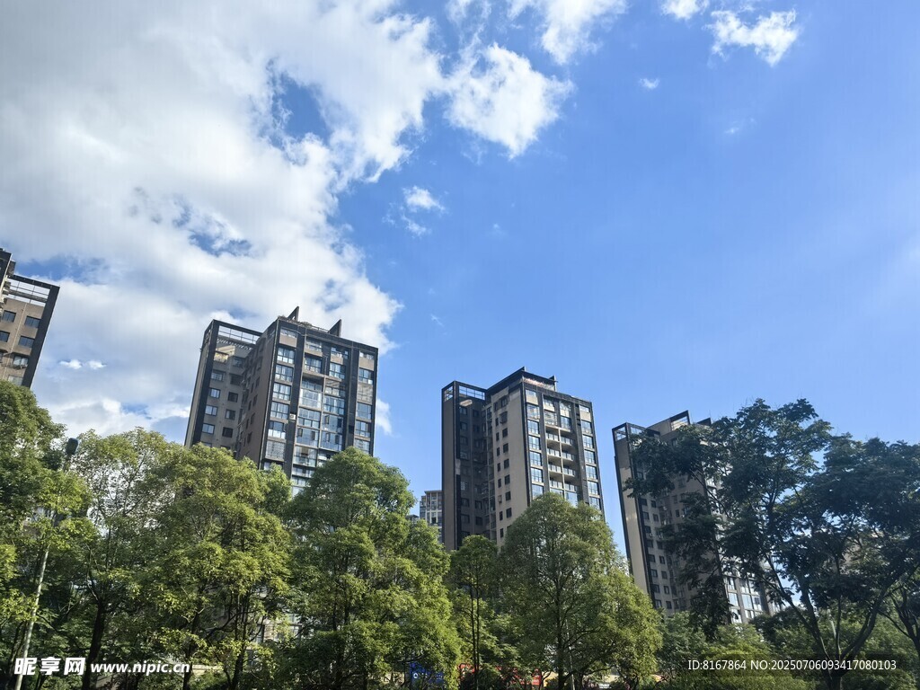高楼林立间的葱郁景致
