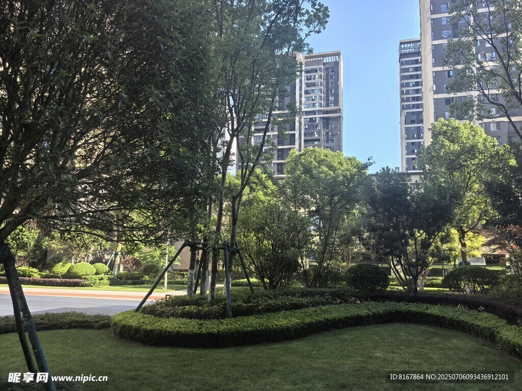 城市中的静谧园林景观