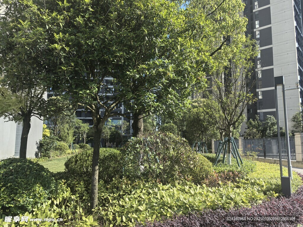 小区绿植景观一角