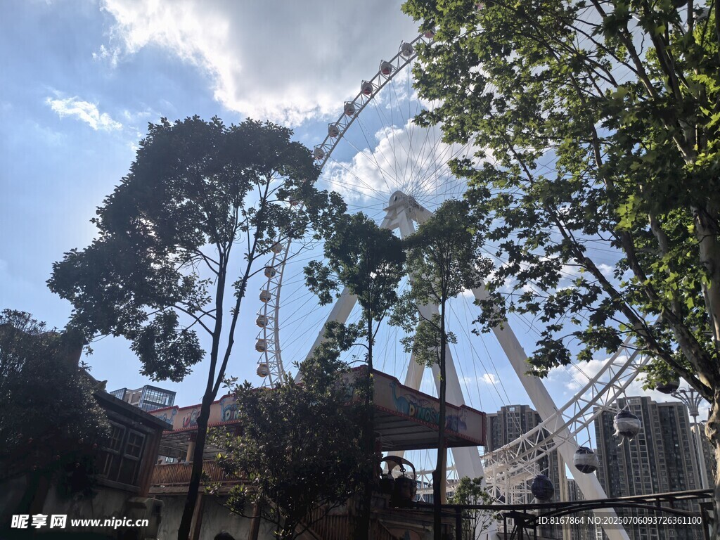 公园中的摩天轮与绿树