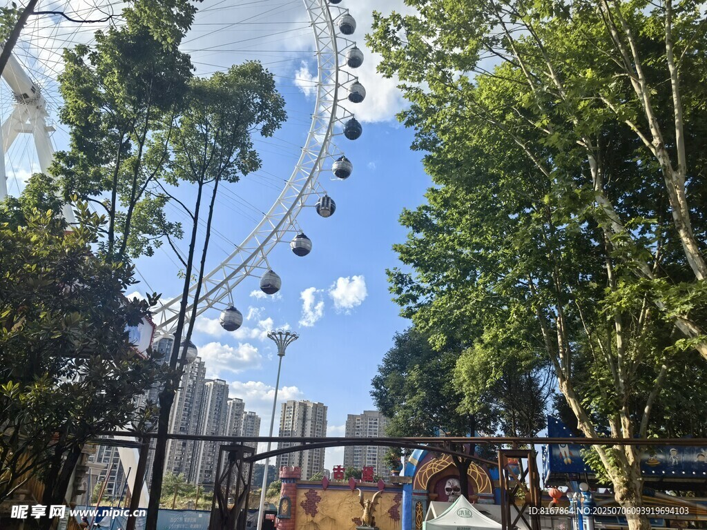 游乐园中的摩天轮景观