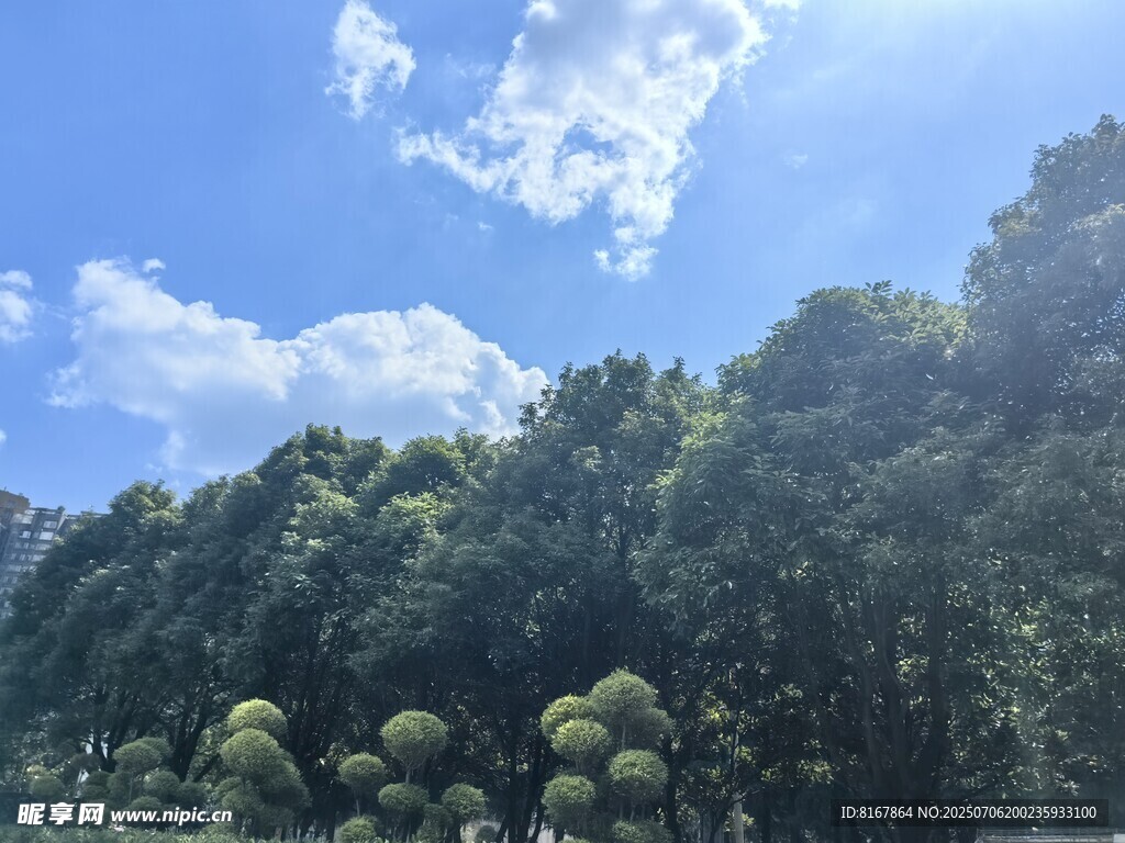 蓝天白云下的葱郁山林
