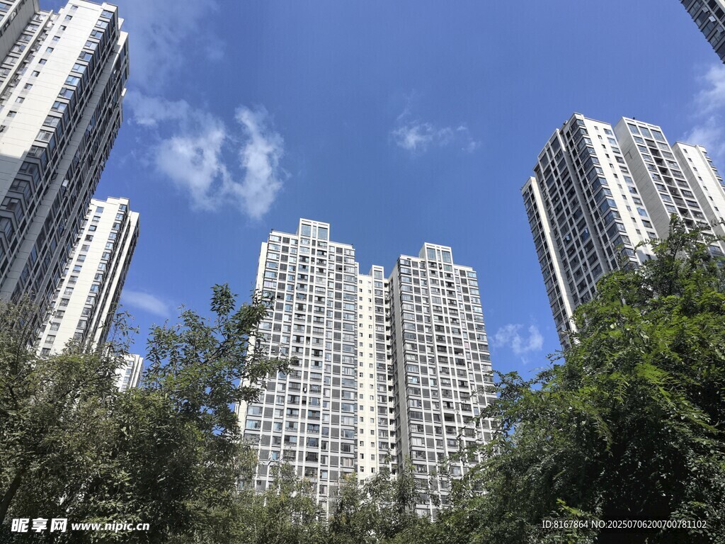城市高楼与绿树相映成趣