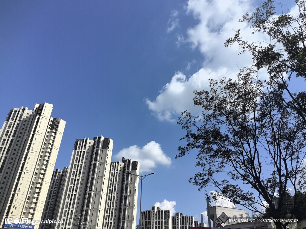 城市高楼与蓝天绿树