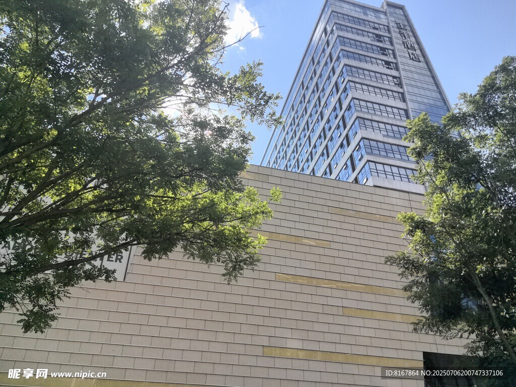 高楼掩映于绿树间