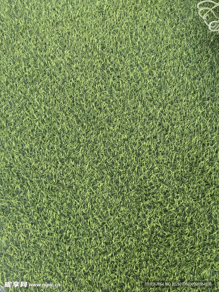 翠绿人造草坪纹理特写