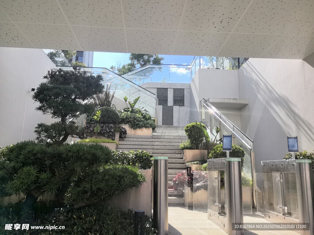 户外庭院绿植景观