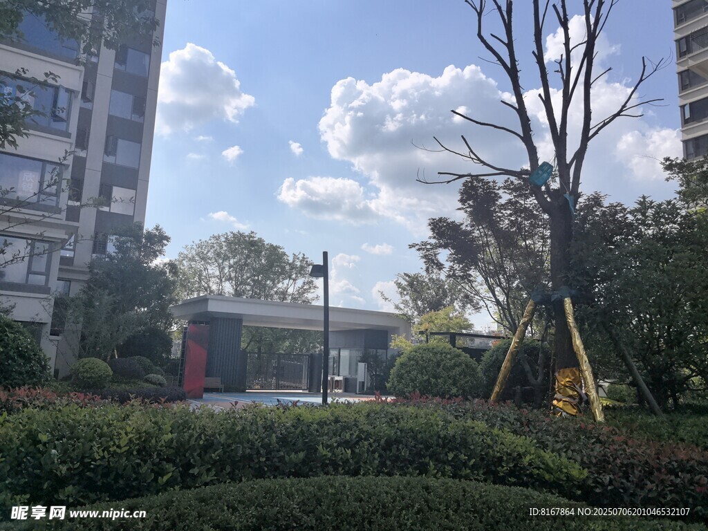 小区内的绿化景观