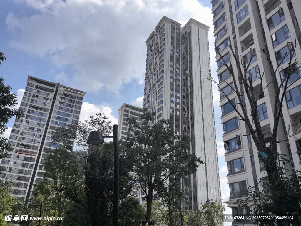高楼林立间的绿树景观