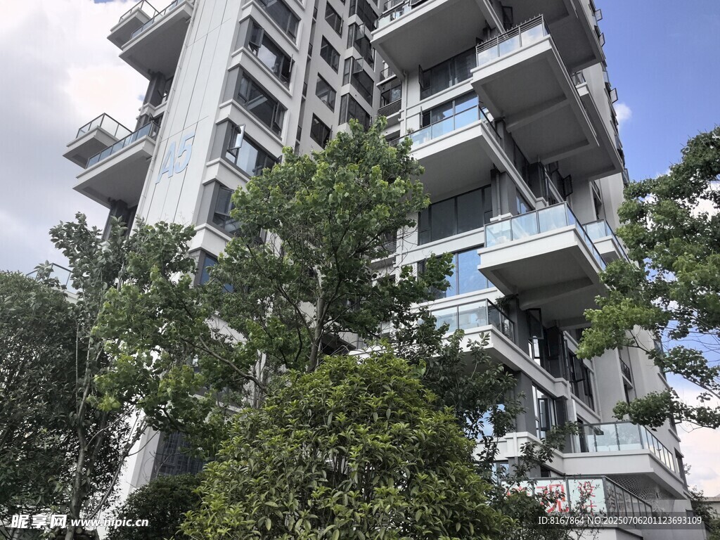 高层住宅旁的葱郁绿树