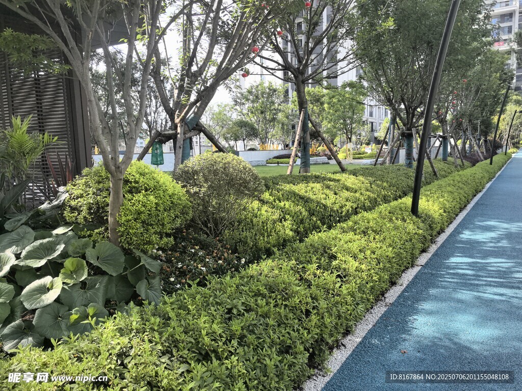 城市中的静谧绿植步道
