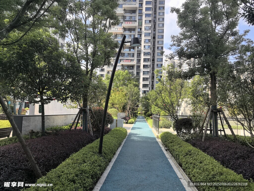 小区内的林荫步道景观