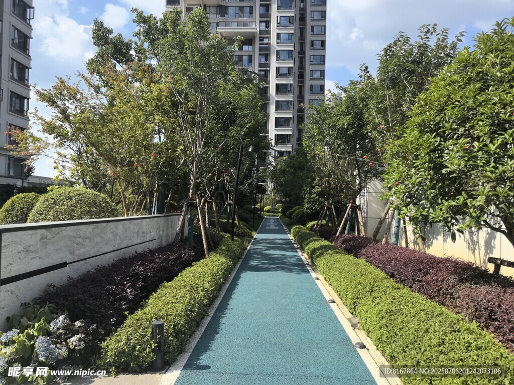 小区内的清新绿植步道