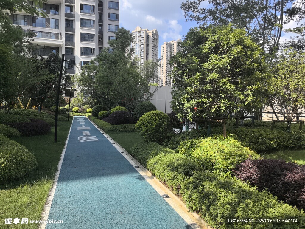 小区内的幽静绿化步道