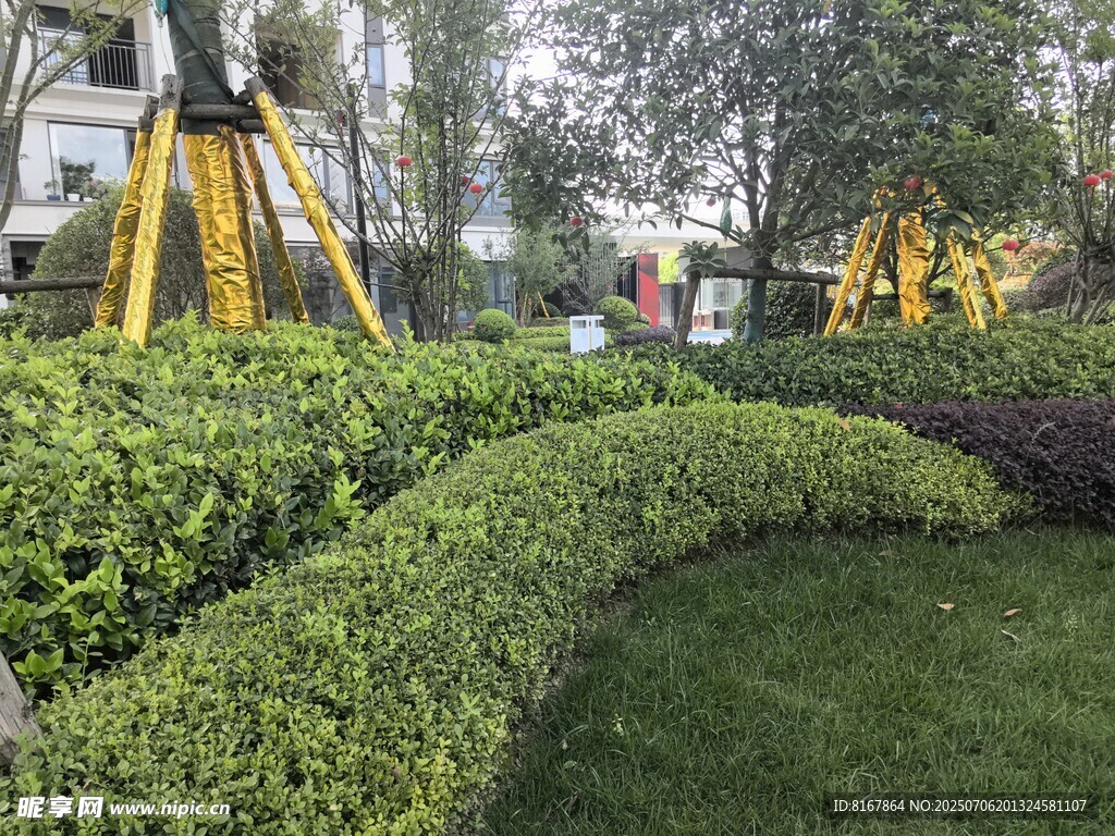 城市园林景观绿植景致