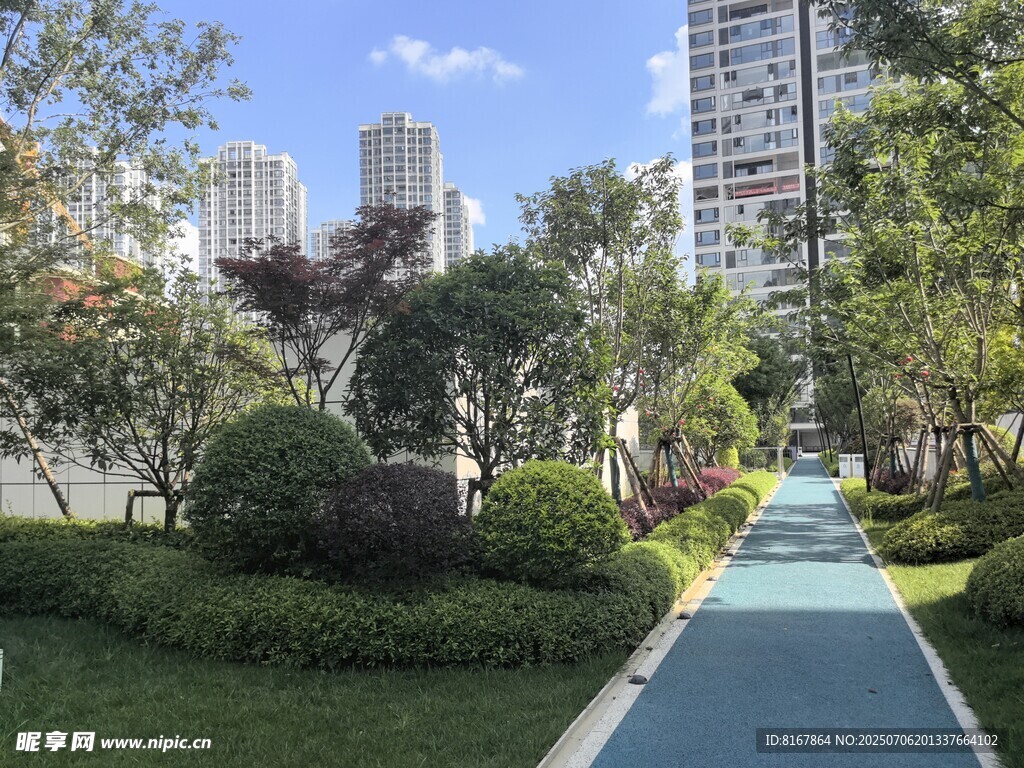 城市中的多彩林荫步道