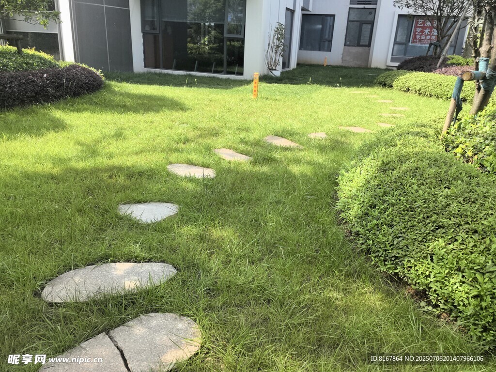 庭院石板小径绿意盎然