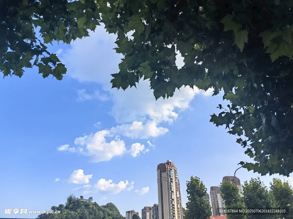 绿树掩映下的城市高楼