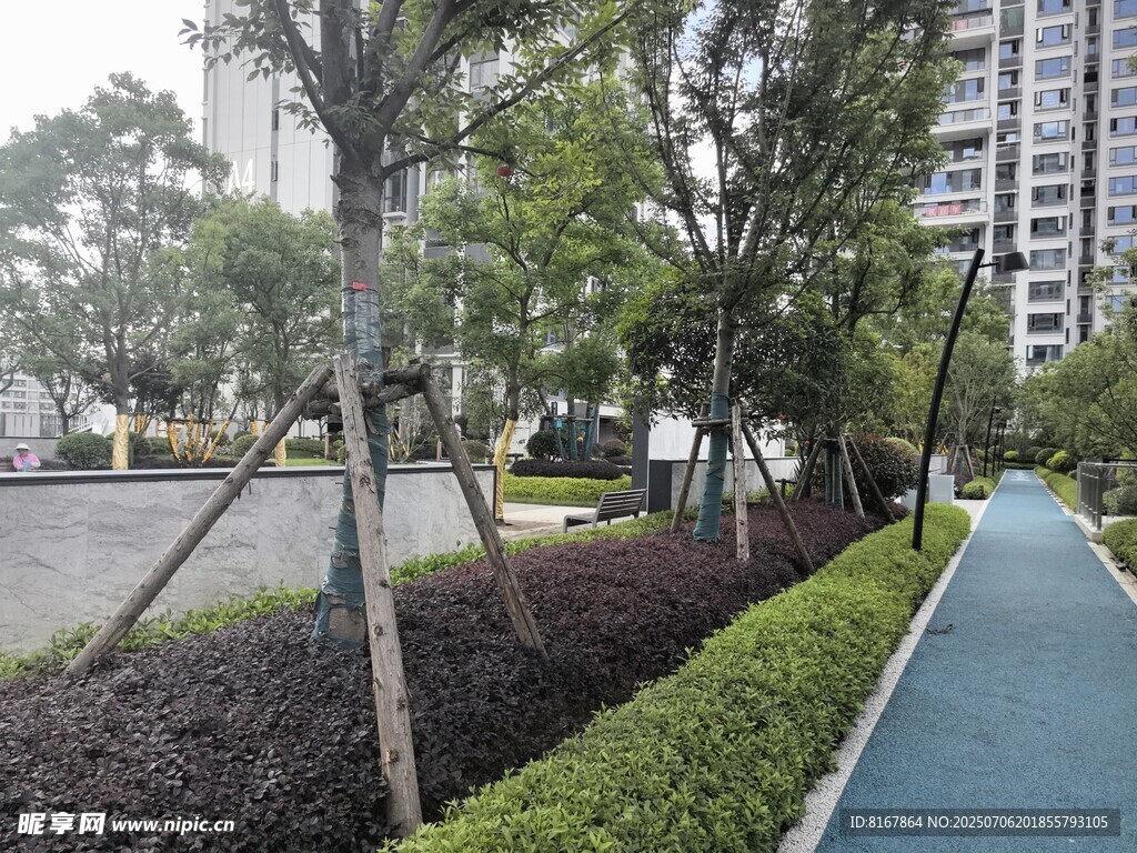 城市中整洁的林荫步道