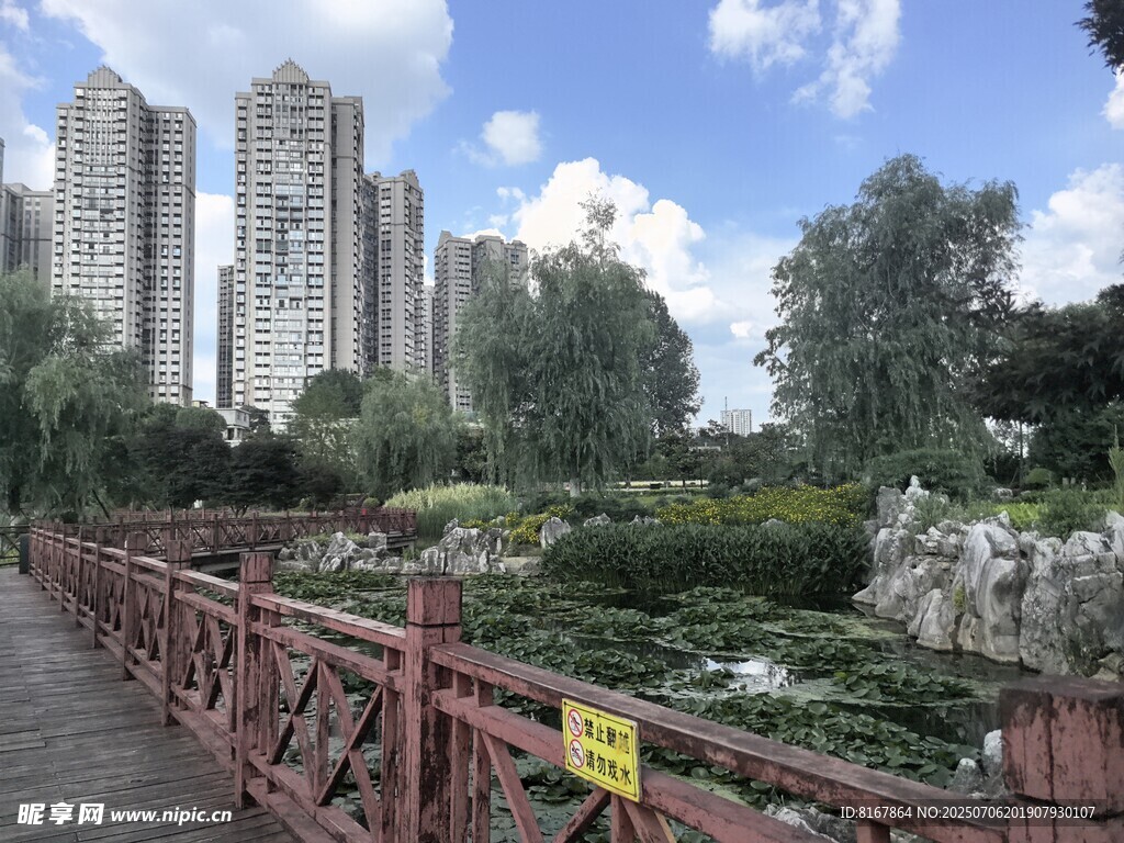 城市公园中的木质步道景观