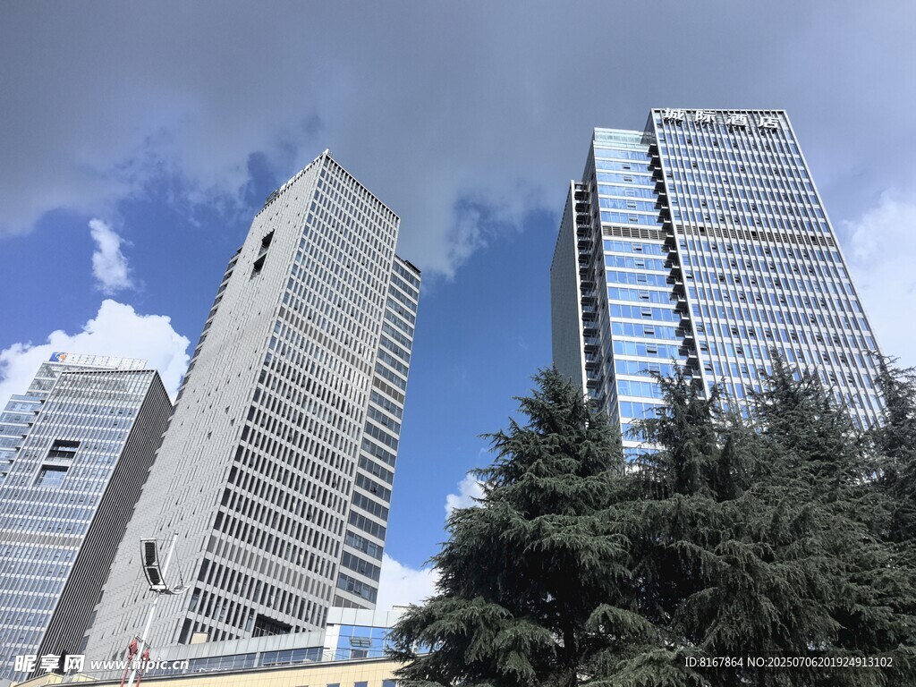 城市高楼与绿树相映成趣