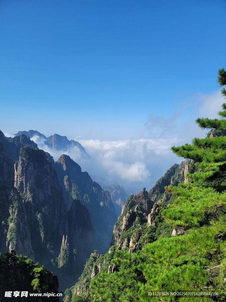 壮丽山景与葱郁林木