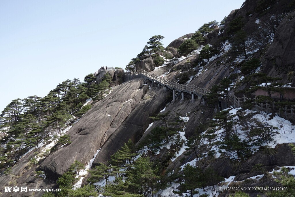 陡峭山壁上的树木与积雪